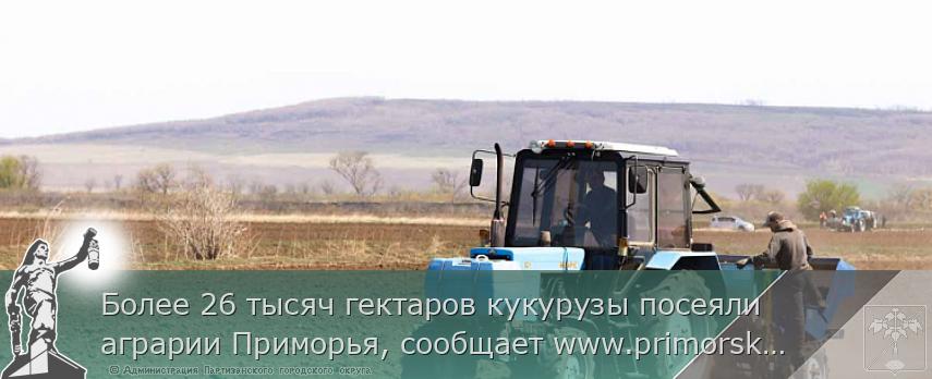 Более 26 тысяч гектаров кукурузы посеяли аграрии Приморья, сообщает www.primorsky.ru